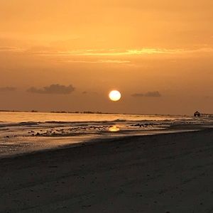 Meet your Posher, Roxana